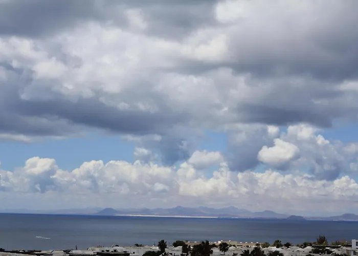 فيلة Don Rafael بويرتو ذيل كارمين